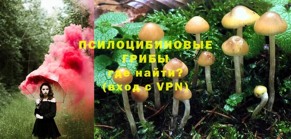 герыч Заводоуковск