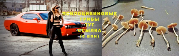 скорость mdpv Заволжье