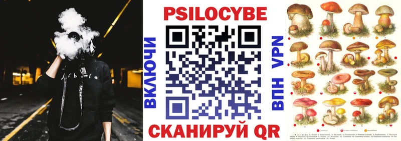 Галлюциногенные грибы GOLDEN TEACHER  где продают   Каменка 