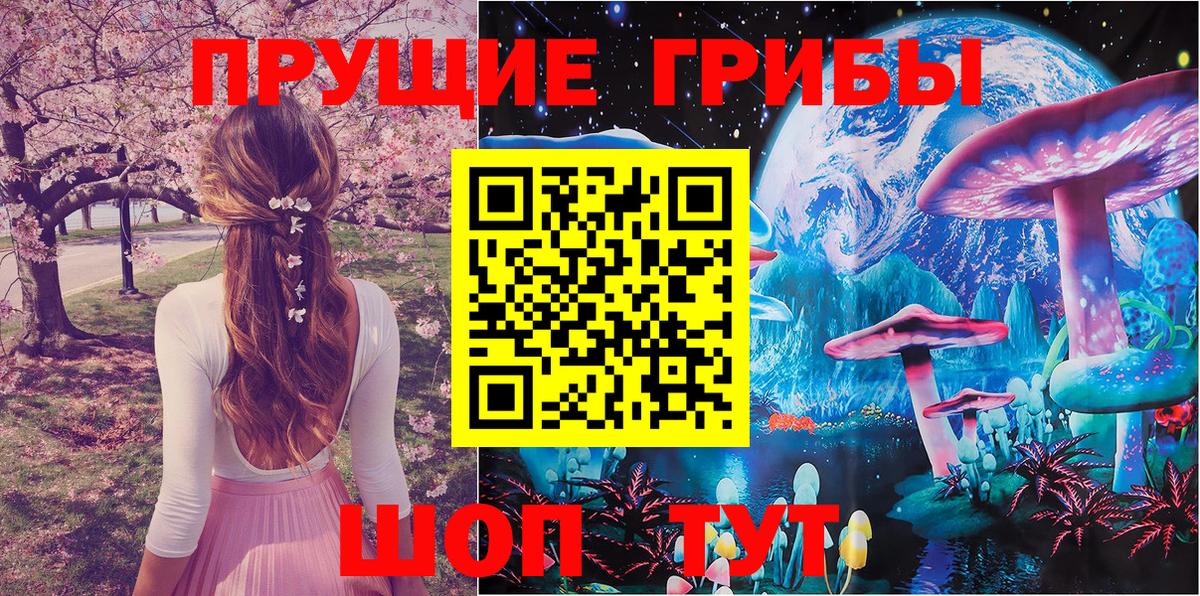 Галлюциногенные грибы прущие грибы Каменка