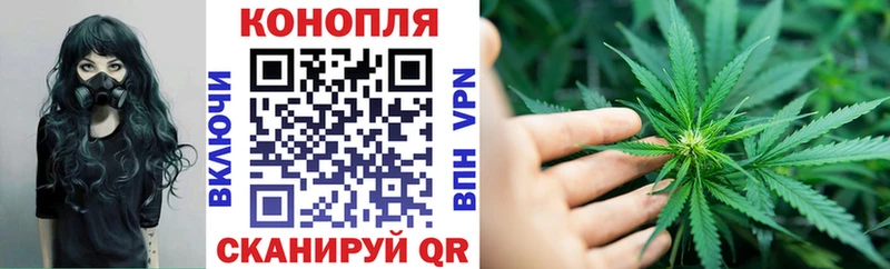 Каннабис планчик Каменка