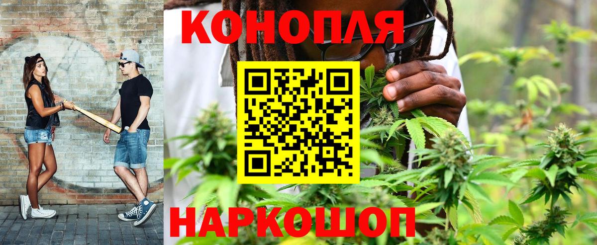 Бошки марихуана конопля Каменка